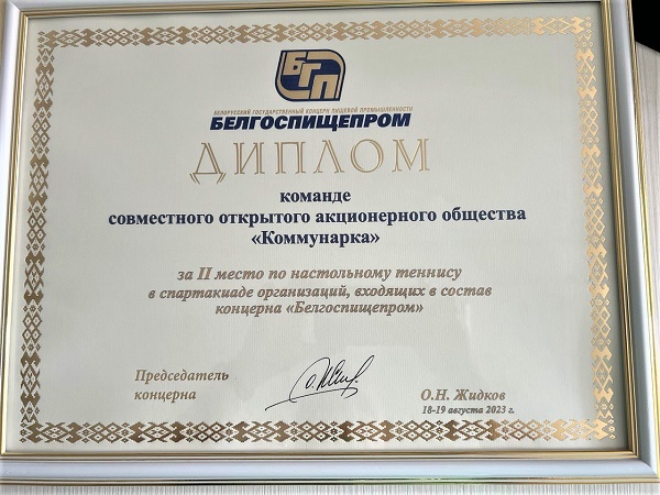 Спорт